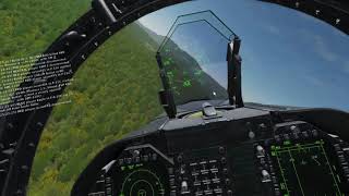 DCS F-18 dogfight on 104th server with Sharken and Bullet