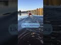 CarpMaster Кораблик рибалки Своїми руками #shortsk #ukraine #кораблик #рыбалка #tiktok #shortsvideo