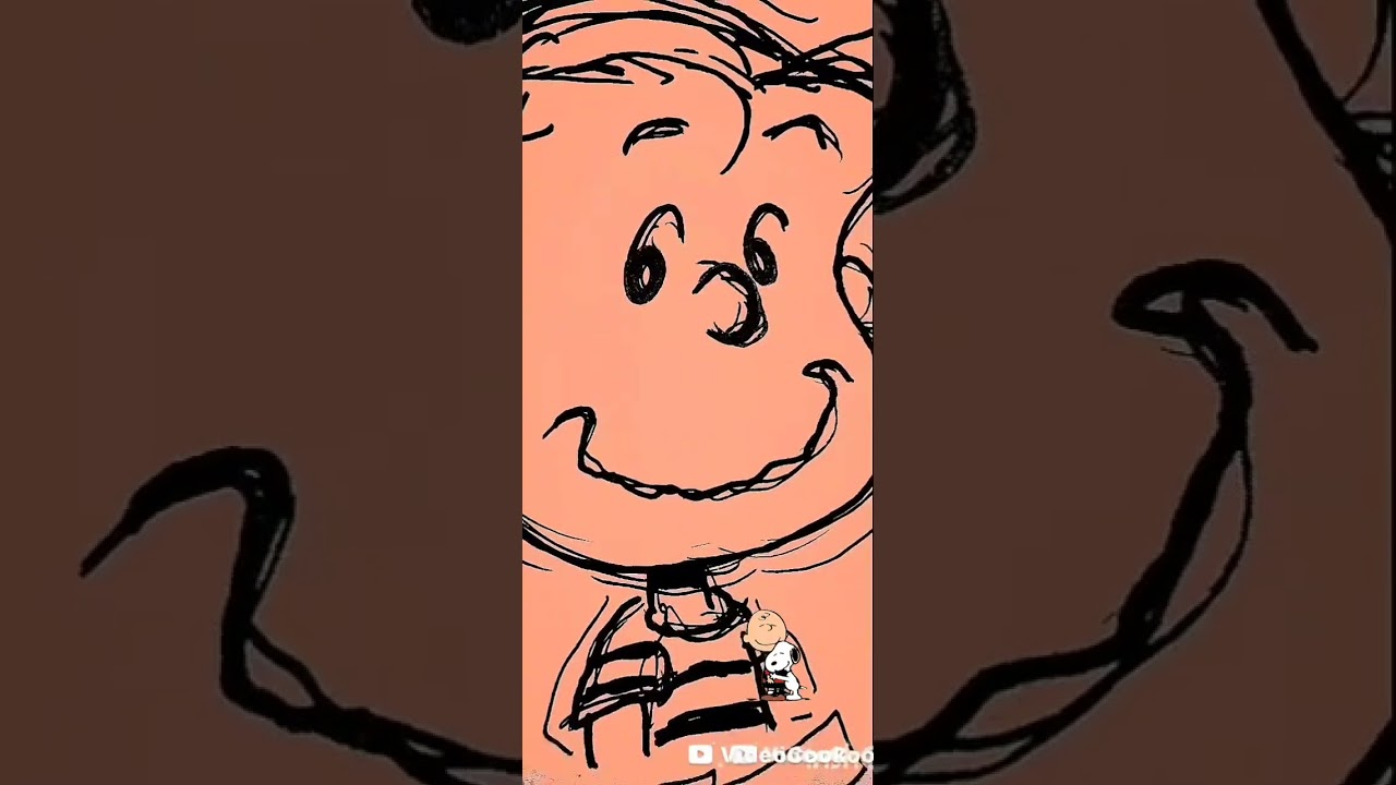 👑THE PEANUTS CHARACTERS ( SUN'S OUT) 