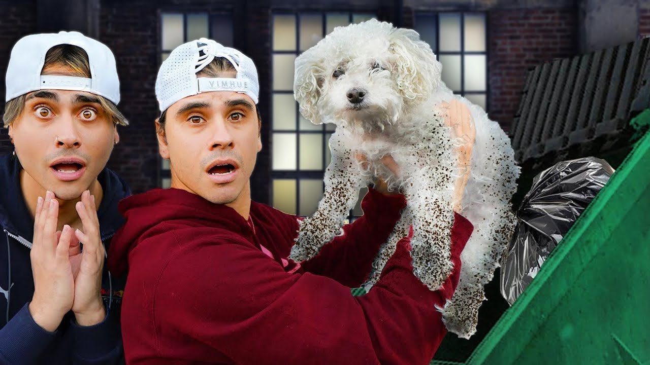 We Found A Lost Dog In A Dumpster!