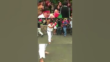 parametros predeterminados / default parameters: Python en Español