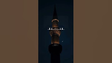 سورة غافر {لِمَنِ الْمُلْكُ الْيَوْمَ ۖ لِلَّهِ الْوَاحِدِ الْقَهَّارِ} بتلاوة خاشعة - عبدالعزيزسحيم