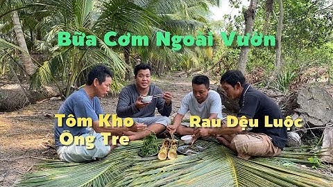 Buổi Sáng Đi Mò Tôm Càng Xanh Về Kho Ống Tre Và Hái Rau Dệu Luộc Thiệt Là Ngon | Cldv #701