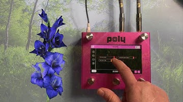 Poly Effects - Digit