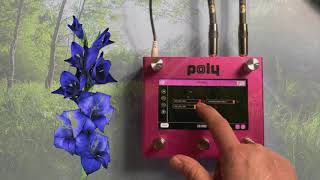 Poly Effects - Digit