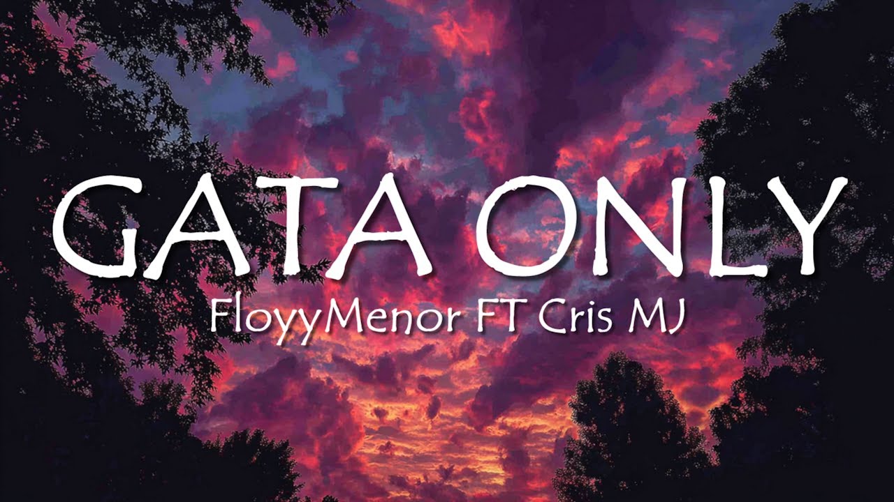 FloyyMenor - GATA ONLY ft. Cris MJ (Letra/Lyrics)