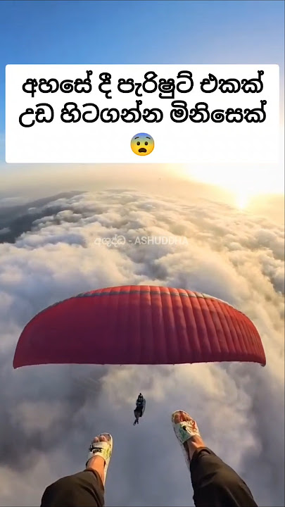 ඔයාගෙ පැරිෂුට් එක උඩ කෙනෙක් හිටගත්තොත් 😨#fyp #ashuddha #සැම්පා