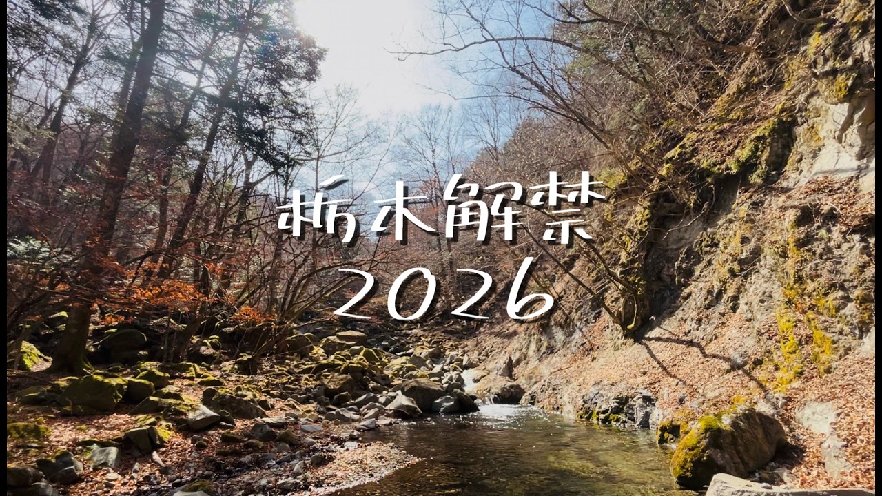 【栃木 渓流ルアー】解禁の朝、静かな渓へ。