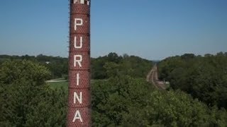 Our Values Stand the Test of Time - Purina