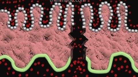 Placental Abruption and Fetomaternal Transfusion Animation by Cal Shipley, M.D.