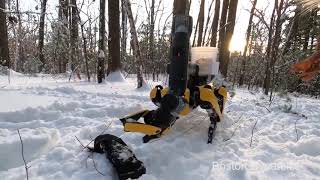 Роботы Boston Dynamics