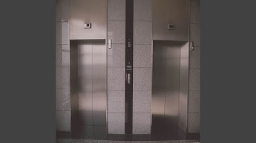 Divine Music for Empty Elevators