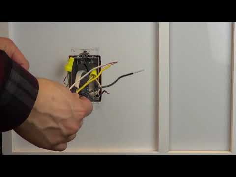 Black Yellow Wire