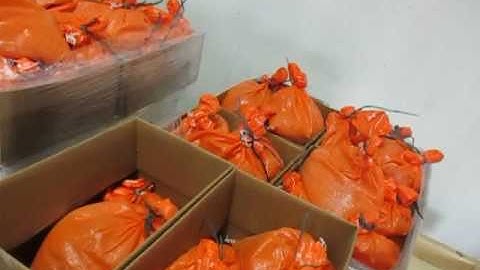 RANDOM VIBRATION WITH TOP LOAD SETE