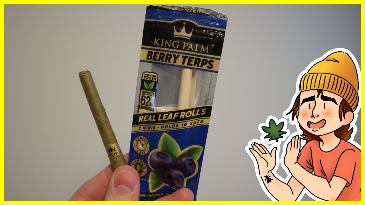 "AAA Hybrid" Strain Review & Blueberry Leaf Roll Taste Test