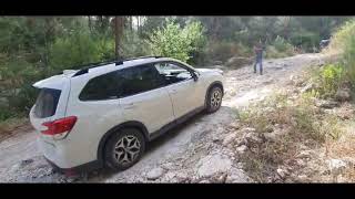Subarus & Land Cruisers: trails Adventure 4x4 18.05.2024