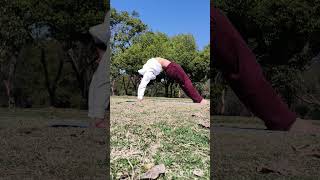 #yoga #chakrasana #backbending #yogastretch