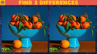 [Find the Difference] Puzzle Game - Part 291 Wealth