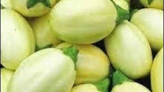 Ushuhuda wa super gro kwenye nyanya chungu.#kilimo