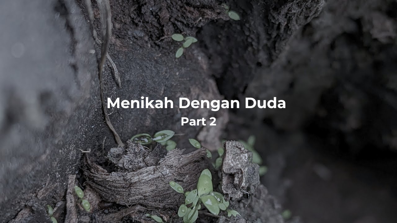 ASMR Husband Indonesia: Menikah Dengan Duda part 2