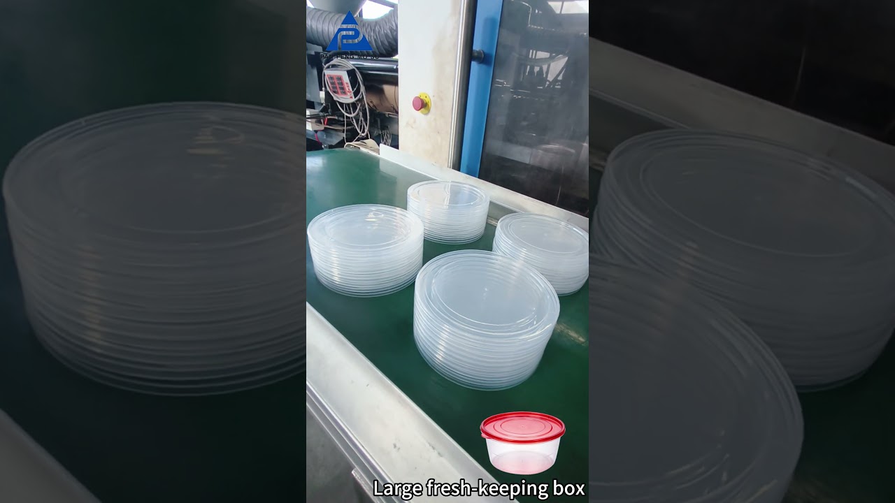 Today we will show you the production process of a large-scale fresh-keeping container.