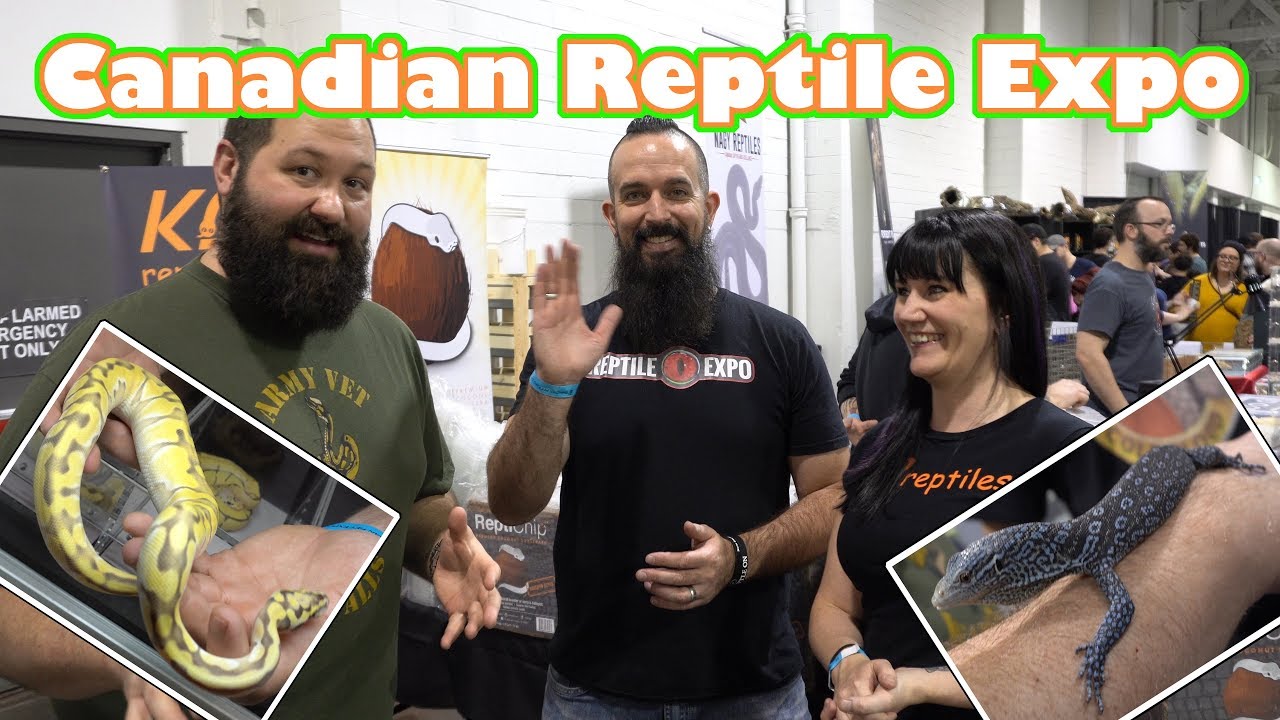 Amazing Canada Reptile Expo Tour 1/26/20!!! YouTube