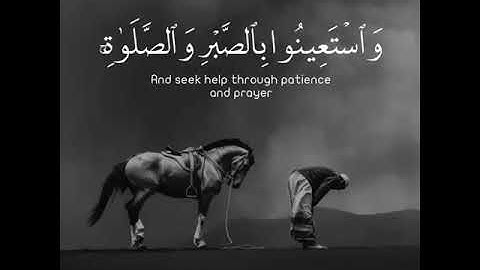 هدوء القرآن ❤️ القارئ عبد الرحمن مسعد 🎧