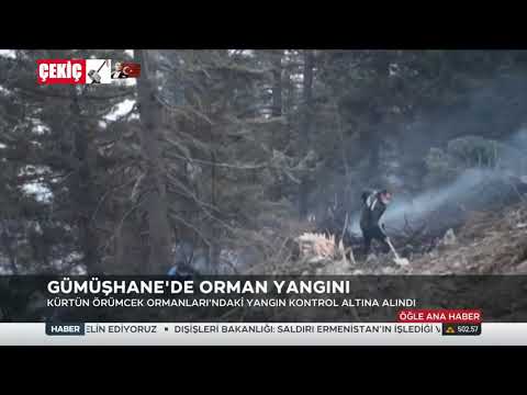 Gümüşhane'de Orman Yangını 29.10.2020 TURKEY