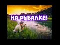 🐟Русская Рыбалка 4🐟Ладожский Архипелаг!Смотрим обновление и ловим рыбку!🎣