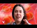 Meningitis B expert answers your questions as UK outbreak leaves two dead