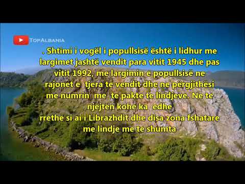 Video: Cilat janë tiparet kryesore të halorëve?