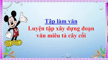 Tập Làm Văn Lớp 4 Tuần 24 : Luyện tập xây dựng đoạn văn miêu tả cây cối