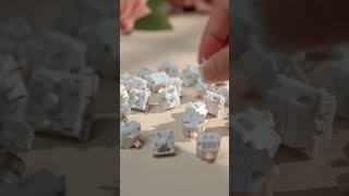 Cream Marble Switch Set Dropped Cream Marble Switch Set Dropped