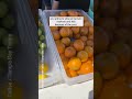 As inflation grows, Tampa Bay residents reconsider spending habits