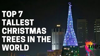 Tallest Christmas Trees in The World | World Largest Christmas Trees | Top 7 |