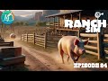 Ranch simulator mon cauchemar un cochon schappe ruche derrick et accidentletsplay 84fr