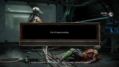 Mortal Kombat 11 Command Grab Brutality out of Hellport