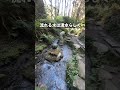 鹿児島最強のパワースポット竜泉の蛇口🐉いや、こんな超穴場スポット逆に知ってる人いるの！？笑#shortvideo #shots #鹿児島 #鹿児島観光#鹿児島パワースポット