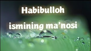 HABIBULLOH ISMINING MA'NOSI #HABIBULLOH #MANOSI #ISIM #ISMINING #ISIMLAR #HABIB #ХАБИБ #ХАБИБУЛЛОХ