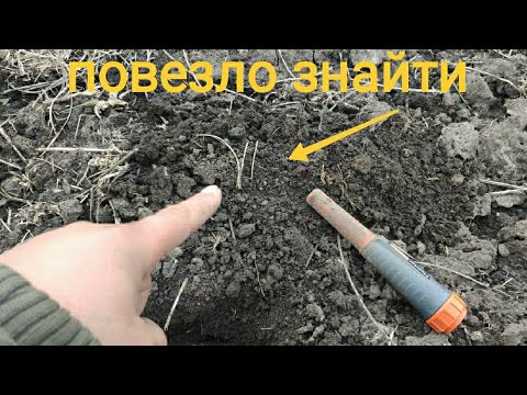повезло знайти артефакти часів Київської Русі копаю з MD Nokta Legend