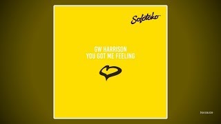 GW Harrison - This Feeling