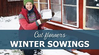 Winter sowings of cut flower seeds