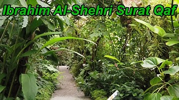 إبراهيم الشهري سورة ق /  Ibrahim Al-Shehri Surat Qaf