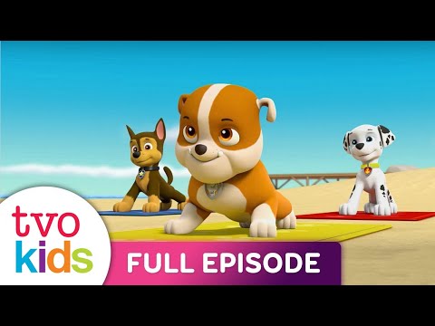 Paw Patrol Season 5 Full S