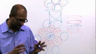 Leveraging Single Channel Architecture for Multiple Channels