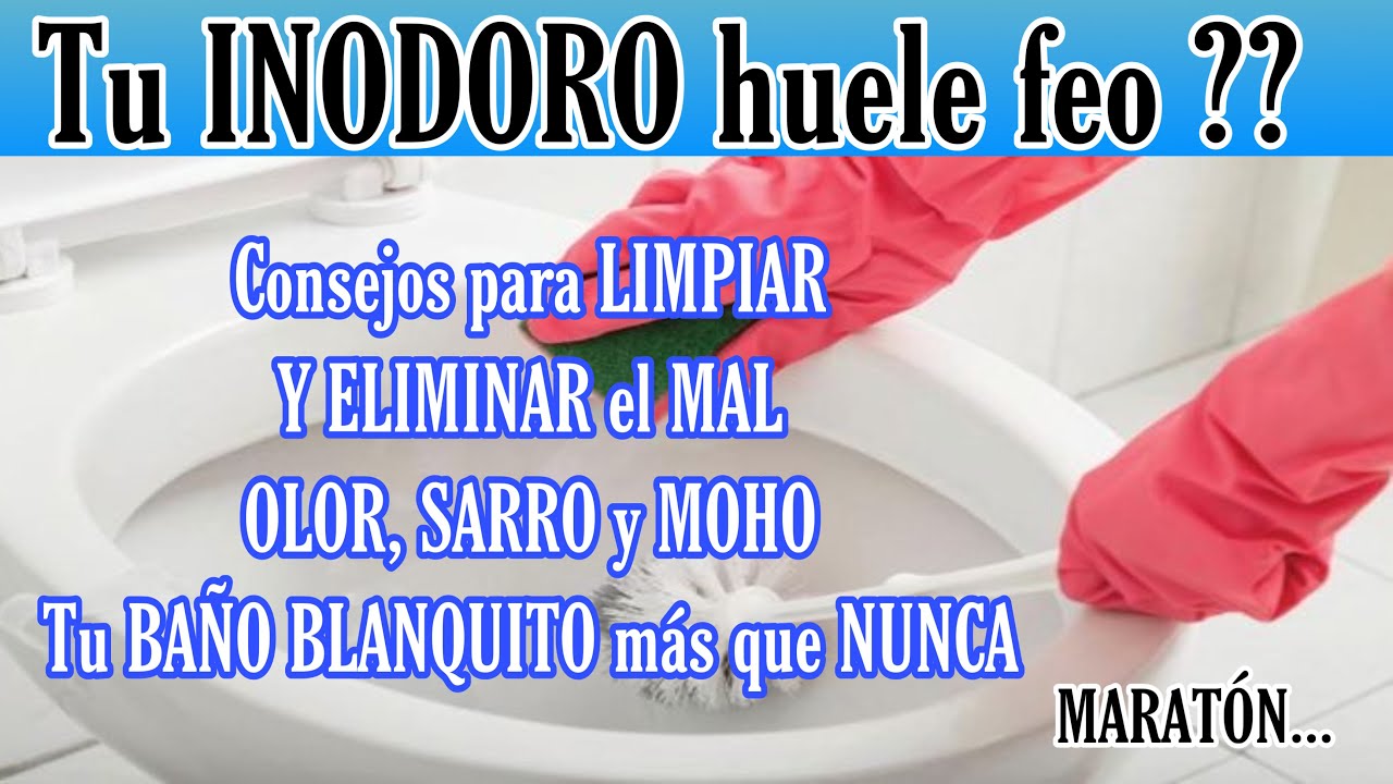 💥 MARATON!! LIMPIA y ELIMINA  el MAL OLOR, SARRO y MOHO del BAÑO, TU BAÑO mas BLANQUITO QUE NUNCA