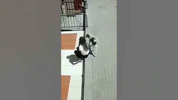 شاهد كلب يتبول على فتات 