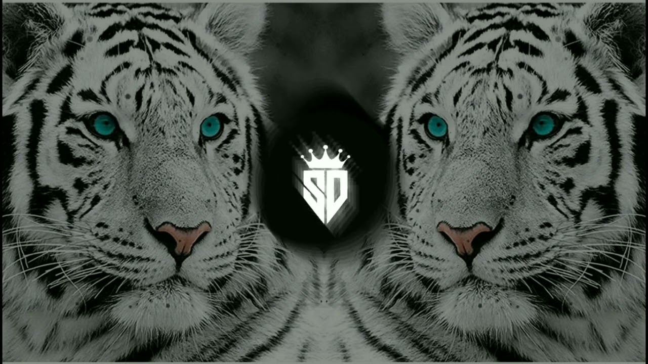 JVLA - Such a Whore slowed reverb (Stellular Remix) [Bass Boosted] | SD music studio