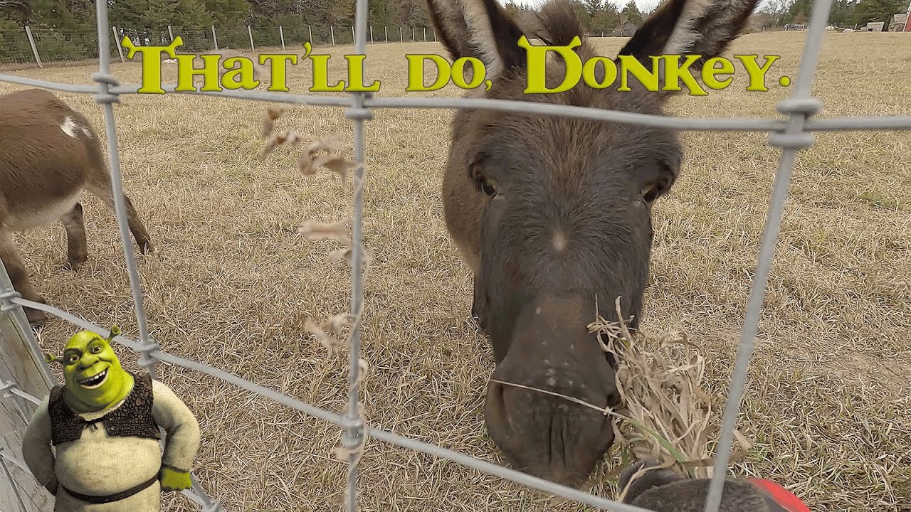 Party on Wayne! Party on Garth!