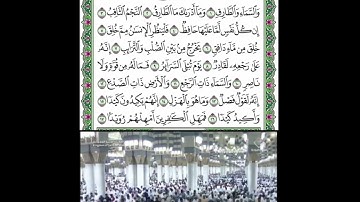 سورة الطارق قراءة الشيخ عبدالله البعيجان